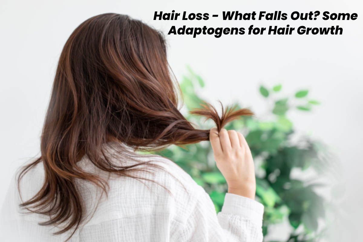 Hair Loss What Falls Out? Some Adaptogens for Hair Growth