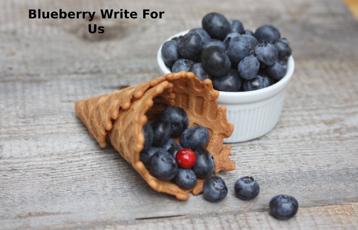 Blueberry Write For Us